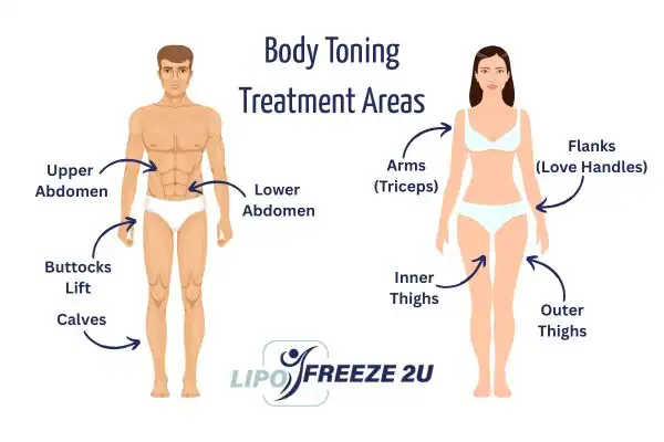 Graphic showing where you can have Body toning Treatment Leicestershire on your body